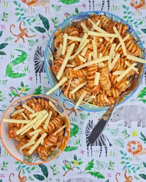 Roasted Vegetable Tomato Sauce tossed through cooked pasta. Served in bowls with a sprinkle of grated cheese. Fork.